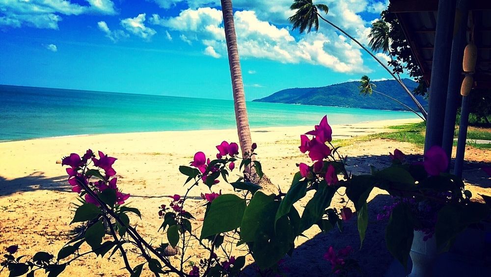 Le Petit Saint Tropez Hotel Khanom Exterior photo